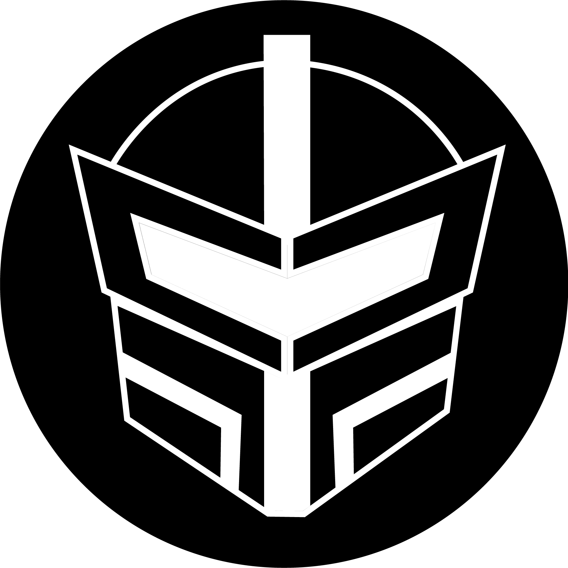 Phil Enescu Portfolio